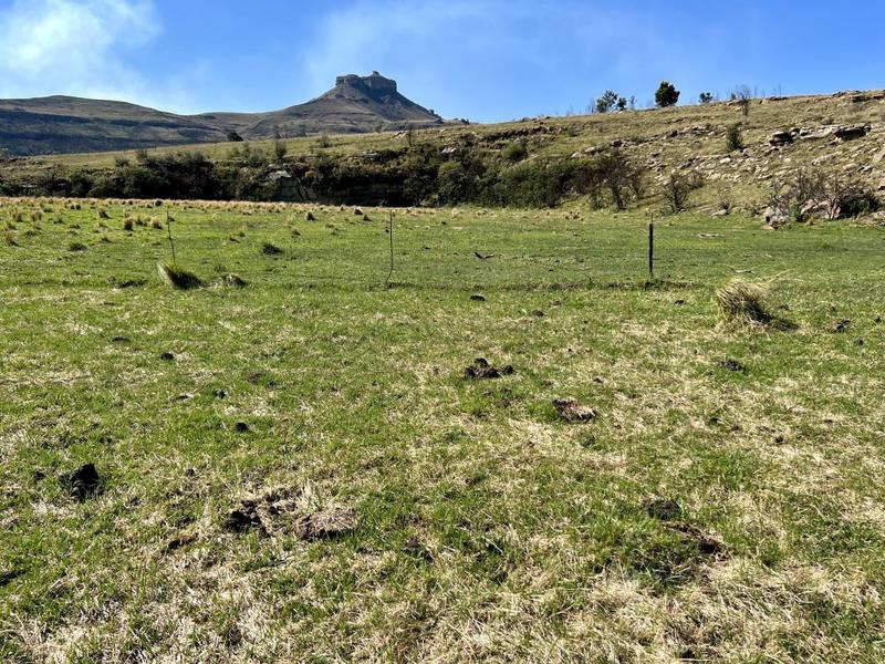 0 Bedroom Property for Sale in Harrismith Free State